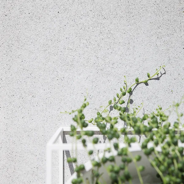 Kritt, heller, betingheller, steinheller, helleflis, hageflis, steinflis