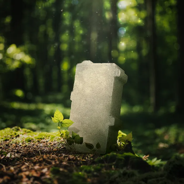 Stein i skog, arena dren, belegningsstein, drenstein, drenerende stein